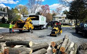 Best Tree Planting Services  in Monon, IN